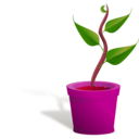 download Plant Growing clipart image with 315 hue color