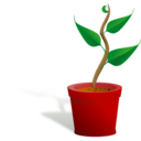 download Plant Growing clipart image with 0 hue color