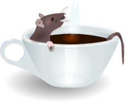 Rat In Coffee