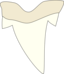 Shark Tooth