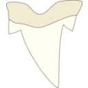 download Shark Tooth clipart image with 0 hue color