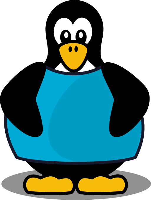 Penguin With A Shirt