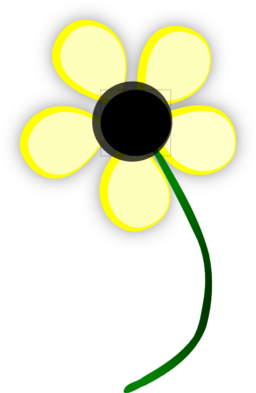 Yellow Daisy