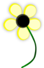 Yellow Daisy