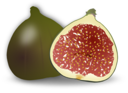 Fig Fruit