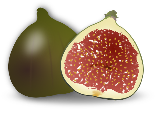 Fig Fruit