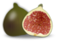 Fig Fruit