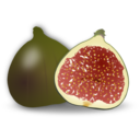 Fig Fruit