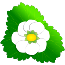 download Strawberry Flower clipart image with 0 hue color