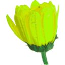 download Flower 07 clipart image with 45 hue color