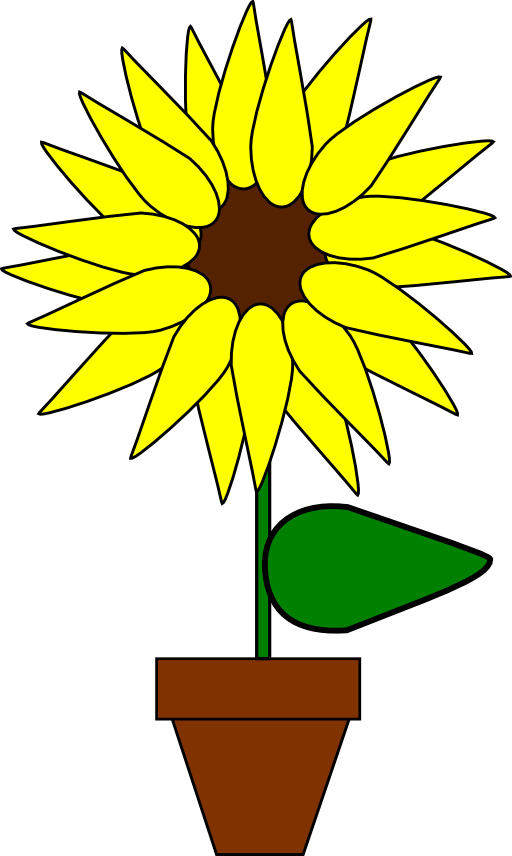 Girasol