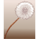 download Pusteblume 2 Dandelion Clock clipart image with 315 hue color