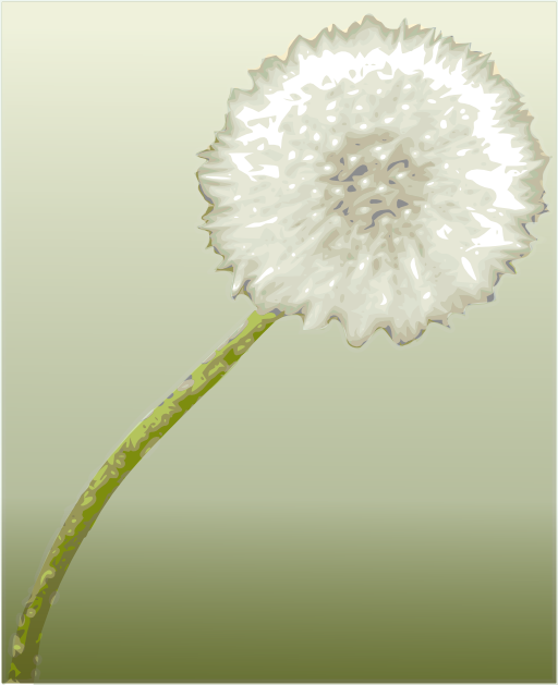 Pusteblume 2 Dandelion Clock