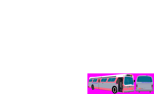 Transit Bus