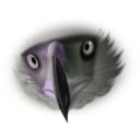 download Eagle Face clipart image with 45 hue color