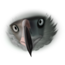 download Eagle Face clipart image with 135 hue color