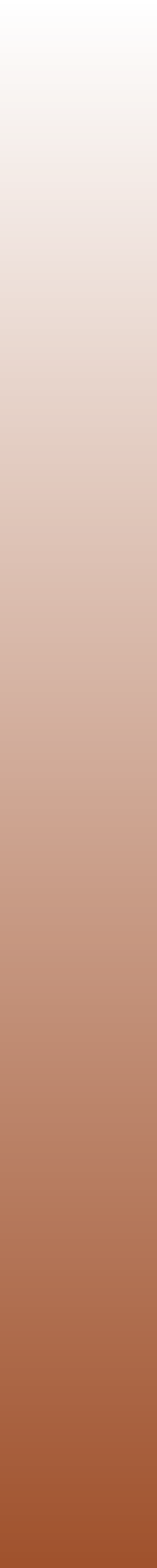 Ws Gradient Sienna