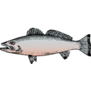 download Fish clipart image with 45 hue color