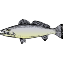 download Fish clipart image with 90 hue color