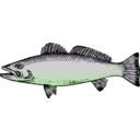 download Fish clipart image with 135 hue color