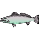 download Fish clipart image with 180 hue color