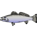 download Fish clipart image with 270 hue color