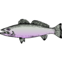 download Fish clipart image with 315 hue color