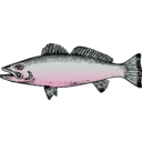 download Fish clipart image with 0 hue color