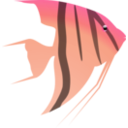 download Angel Fish clipart image with 315 hue color
