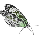 download Butterfly clipart image with 45 hue color