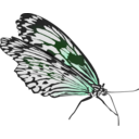 download Butterfly clipart image with 90 hue color