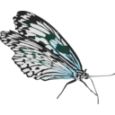 download Butterfly clipart image with 135 hue color