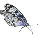 download Butterfly clipart image with 180 hue color