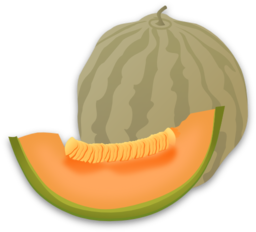 Musk Melon