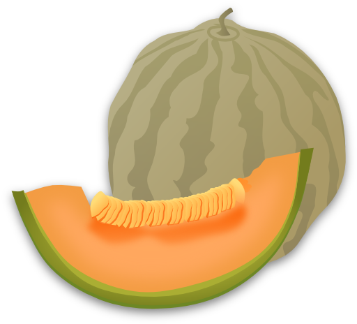 Musk Melon