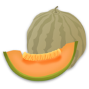 Musk Melon