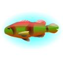 Colourful Fish