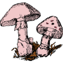download Two Mushrooms clipart image with 315 hue color