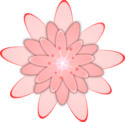 Pink Flower