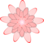 Pink Flower