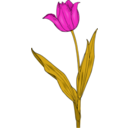 download Colored Tulip clipart image with 315 hue color