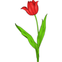 download Colored Tulip clipart image with 0 hue color