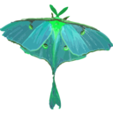 download Luna Moth Actias Luna clipart image with 90 hue color