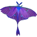 download Luna Moth Actias Luna clipart image with 180 hue color