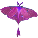 download Luna Moth Actias Luna clipart image with 225 hue color