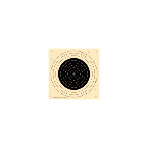 Bersaglio Pistola 10m