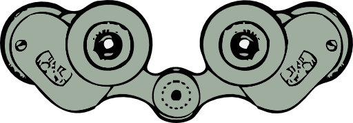 Binoculars Rear View