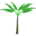 download Palm Tree clipart image with 45 hue color