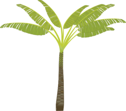 Palm Tree