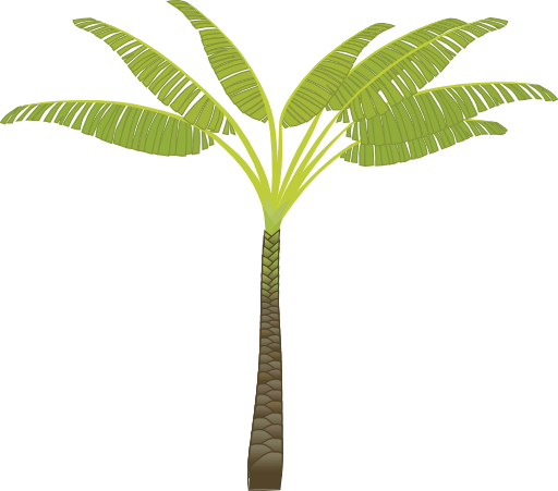 Palm Tree